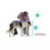 Petmate® Vari Dog Kennel Plastic Portable Travel Crate Airline Friendly Pet Carrier- SM, M, L XL video thumbnail 8