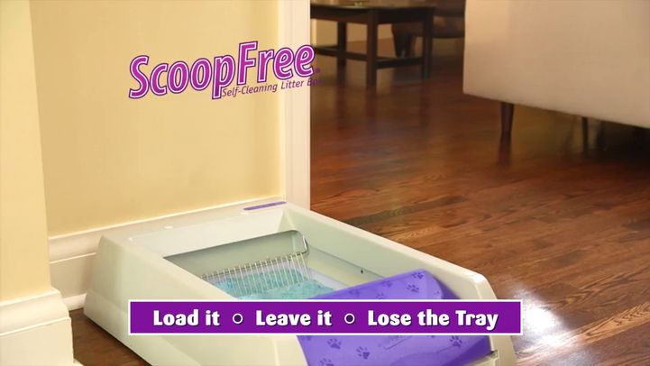 scoopfree top entry hood