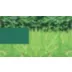 Enriched Life Customizable Maze Small Pet Maze Enrichment Toy video thumbnail 6