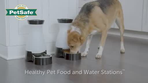 Healthy pet water station best sale