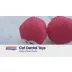 Catstages Dental Kitty Chew Wheel Cat Toy video thumbnail 6