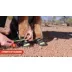 Arcadia Trail™ Year-Round All-Terrain Dog Boots video thumbnail 8