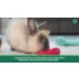 Oxbow Enriched Life Small Pet Timothy Chew Toy Party Pack video thumbnail 4