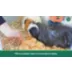 Oxbow Enriched Life Small Pet Wooden Puzzler Treat Puzzle Toy video thumbnail 4