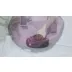 Armarkat Large Purple and Black Soft Cat Bed 23.5Lx23.5W video thumbnail 8