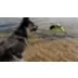 KONG® Reflex Tug Durable Dog Toy video thumbnail 6