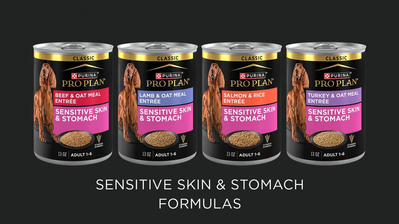 Purina Pro Plan Sensitive Skin & Stomach Adult Wet Dog Food - Beef