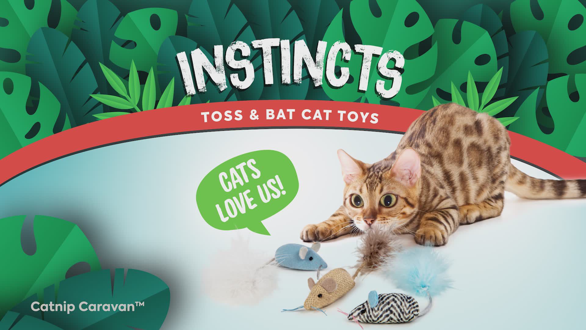 Cheap cat toys near me best sale