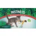 Instincts SmartyKat Rowdy Ribbons Cat Toy video thumbnail 9