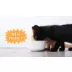 Cats in the Kitchen Kittens in the Kitchen Wet Cat Food -3 oz, Flaked in Au Jus video thumbnail 8