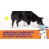 Joyhound® Electronic Spinning Ball Dog Toy video thumbnail 10