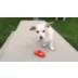 KONG® Licks Mat Treat with Ridges and Grooves video thumbnail 6
