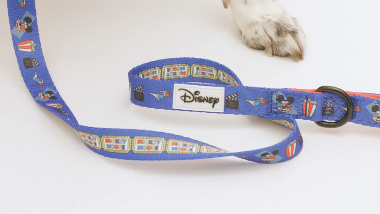 Mickey mouse dog collar and leash best sale