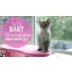 Tiki Cat Baby Kitten Wet Food - High Protein, Pate, 2.4 OZ video thumbnail 8