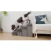 PetPals Charcoal 4 Level Pet Stairs video thumbnail 2