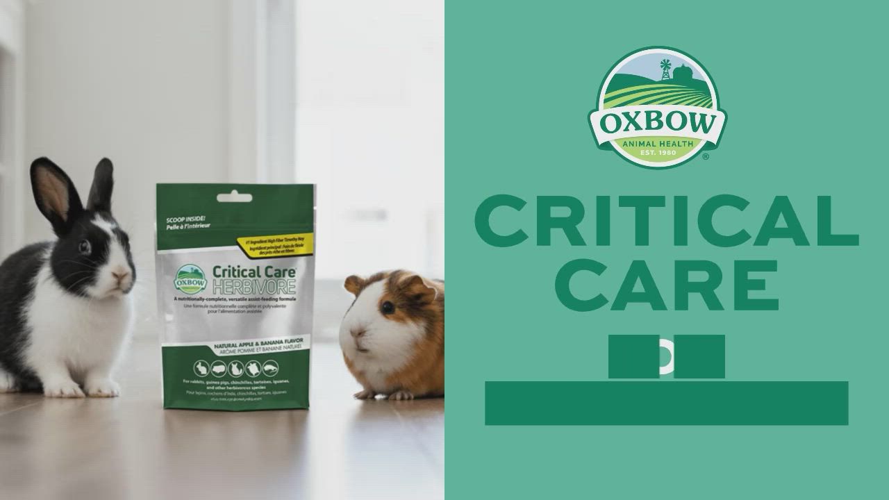Herbi care ハーブ　454g Oxbow Critical Care - Herbivore Small Pet Herbivore Recovery Support