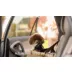PetSafe® Happy Ride Quilted Booster Seat - Tan video thumbnail 6