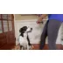 PetSafe® Remote Trainer - Add A Dog Reciever Collar video thumbnail 7