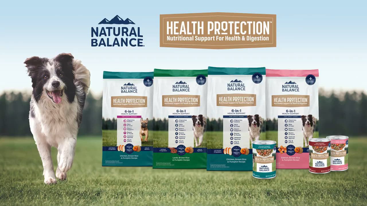 Natural Balance Health Protection Small Breed Adult Dog Dry Food