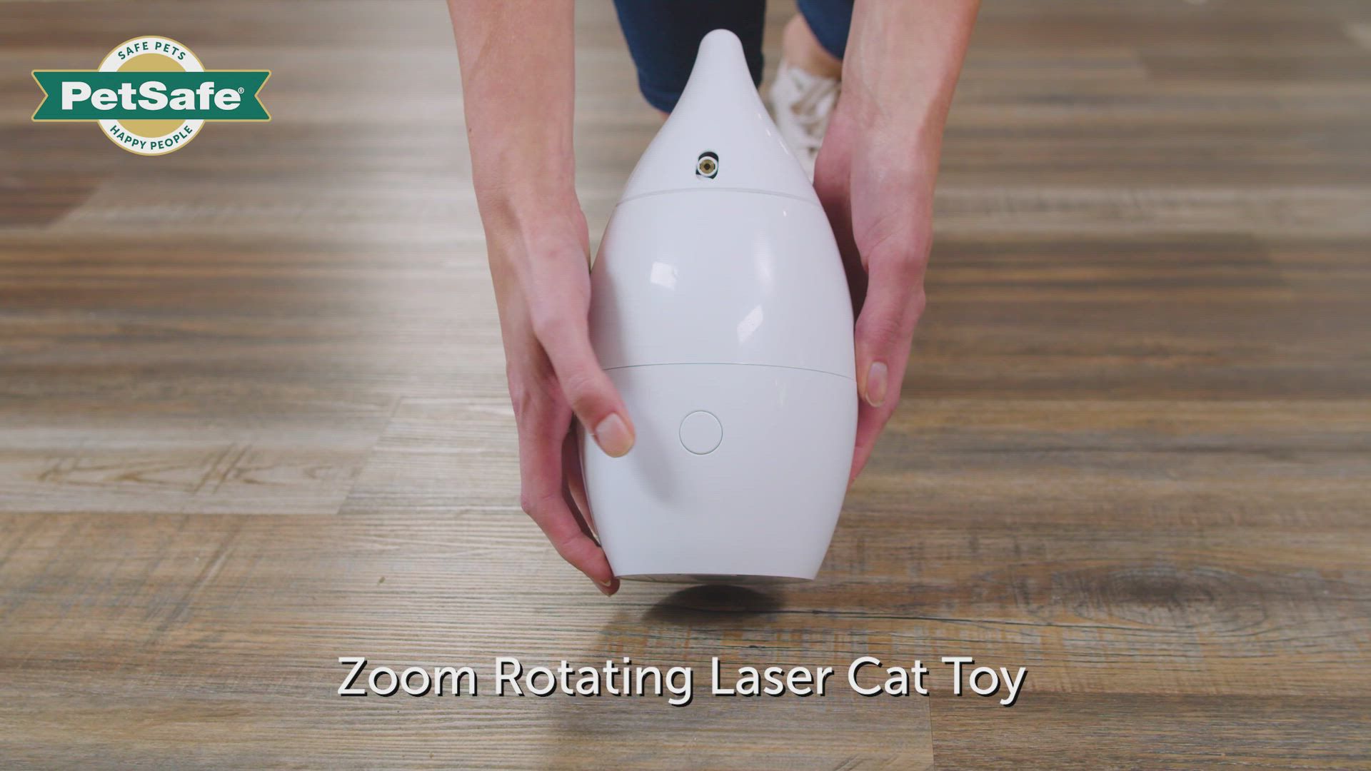 PetSafe Zoom Laser Cat Toy