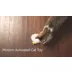 PetSafe® Peek-a-Bird Electronic Cat Toy video thumbnail 7