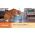 Catstages Meow-smerizing Fish Bowl with Electronic Swimming Fish and Turtle, Cat Toy video thumbnail 8