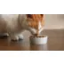 Instinct® Adult Wet Cat Food - Flaked, Variety Pack, 12 ct., 2.2 Lb. video thumbnail 9