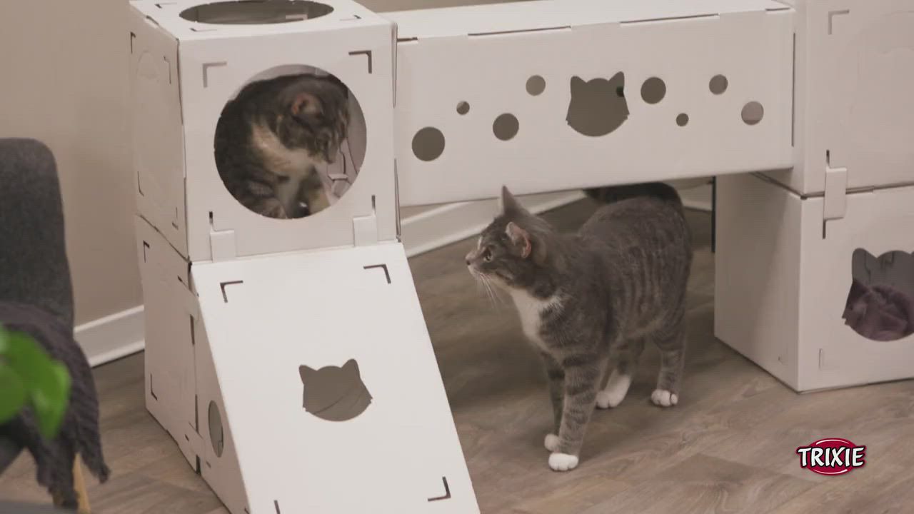 ねこまんま部屋 TRIXIE Casa Cara Indoor Modular Cardboard Cat Condo, Cat Play