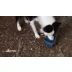 Kurgo® RSG Dog Hydration Pack video thumbnail 2