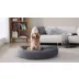Arlee Home & Pet Orbit Orthopedic Eco-Friendly Memory Foam Pet Bed video thumbnail 10