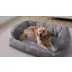 Arlee Home & Pet Sofa Orthopedic Eco-Friendly Memory Foam Pet Bed video thumbnail 2