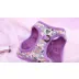 Sassy Meow Hello Kitty® Purple Step-In Cat Harness video thumbnail 6