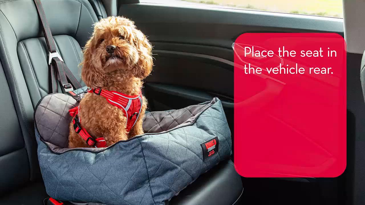 KONG Ultimate Safety Tether and Seat