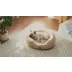 Bedsure® Dog Bed for Small Dogs, Round Cat Bed for Indoor Cats video thumbnail 7