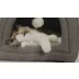 Bedsure® Indoor Cat Bed, Cat Cave House Tent for Kittens and Small Pets video thumbnail 7