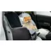 Lesure® Foldable Car Seat for Small Dogs video thumbnail 8