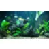 Aqueon® FXT Optibright Max LED Aquarium Light video thumbnail 8