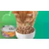 Friskies® Meaty Bits Adult Wet Cat Food In Gravy Variety Pack - 12 Ct, 66 Oz video thumbnail 9