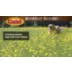 Cadet Gourmet Beef Hide Shish Kabob Dog Treats 11.6 Oz - 4 Count video thumbnail 8