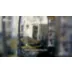 Birdfy Smart Feeder Metal with Suet Cage, Metal V video thumbnail 10