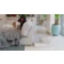 Tuft & Paw Really Great Cat Litter®, Mult-Cat Mixed Tofu Cat Litter - Low Tracking, Low Dust video thumbnail 8