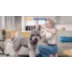 Oneisall RFC676 Dog Grooming Clippers and Kit video thumbnail 11
