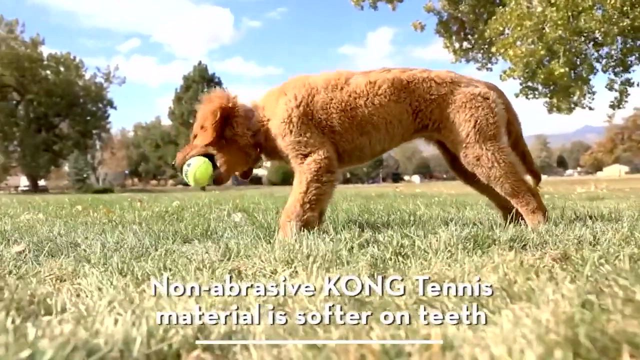 Kong Air Squeaker Köpek Oyun Topu Small 3’lü Paket Sesli Oyuncak