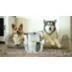 PawsPik Dog & Cat GroomingPro Rx Professional 7-in-1 Vacuum & Grooming Kit video thumbnail 10
