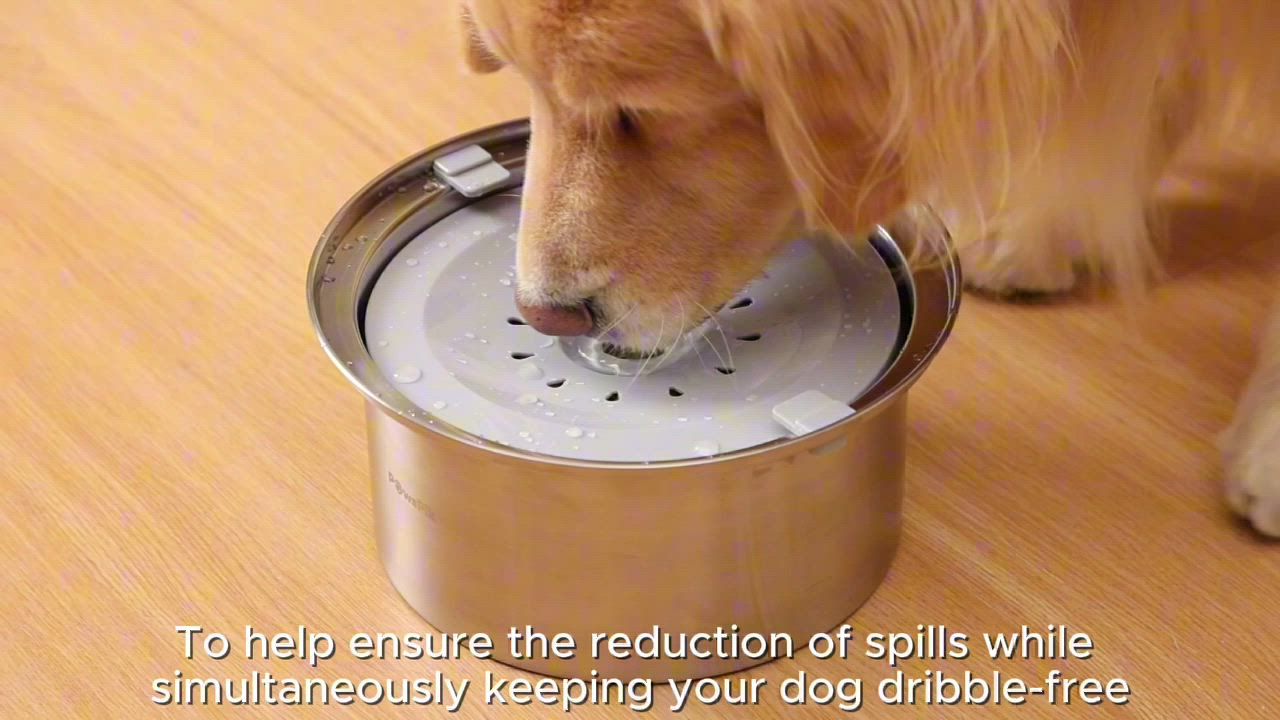 PawsPik Dog Spill Proof Stainless Steel Bowl - 4 L