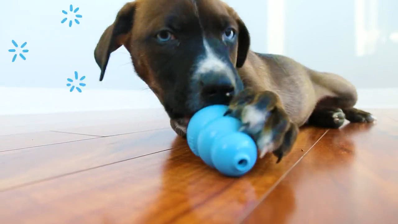 ball dog toy interactive Snuffle Ball Dog Toy | Knotty Ball Snuffle for Dogs main image 0