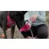 Arcadia Trail® Reversible Dog Puffer Coat, Multiple Colors & Sizes, Black/Burgundy, XS-XXL video thumbnail 9