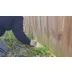 Dig Defence® No-Dig Animal Barrier For Dogs, X-Large, 15 x 24 x 0.225 inches video thumbnail 11