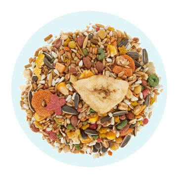 All Living Things bird food