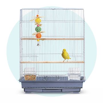 Yellow bird in an All Living Things bird cage